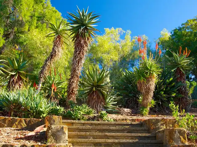 Kings Park, Perth, Perth WA